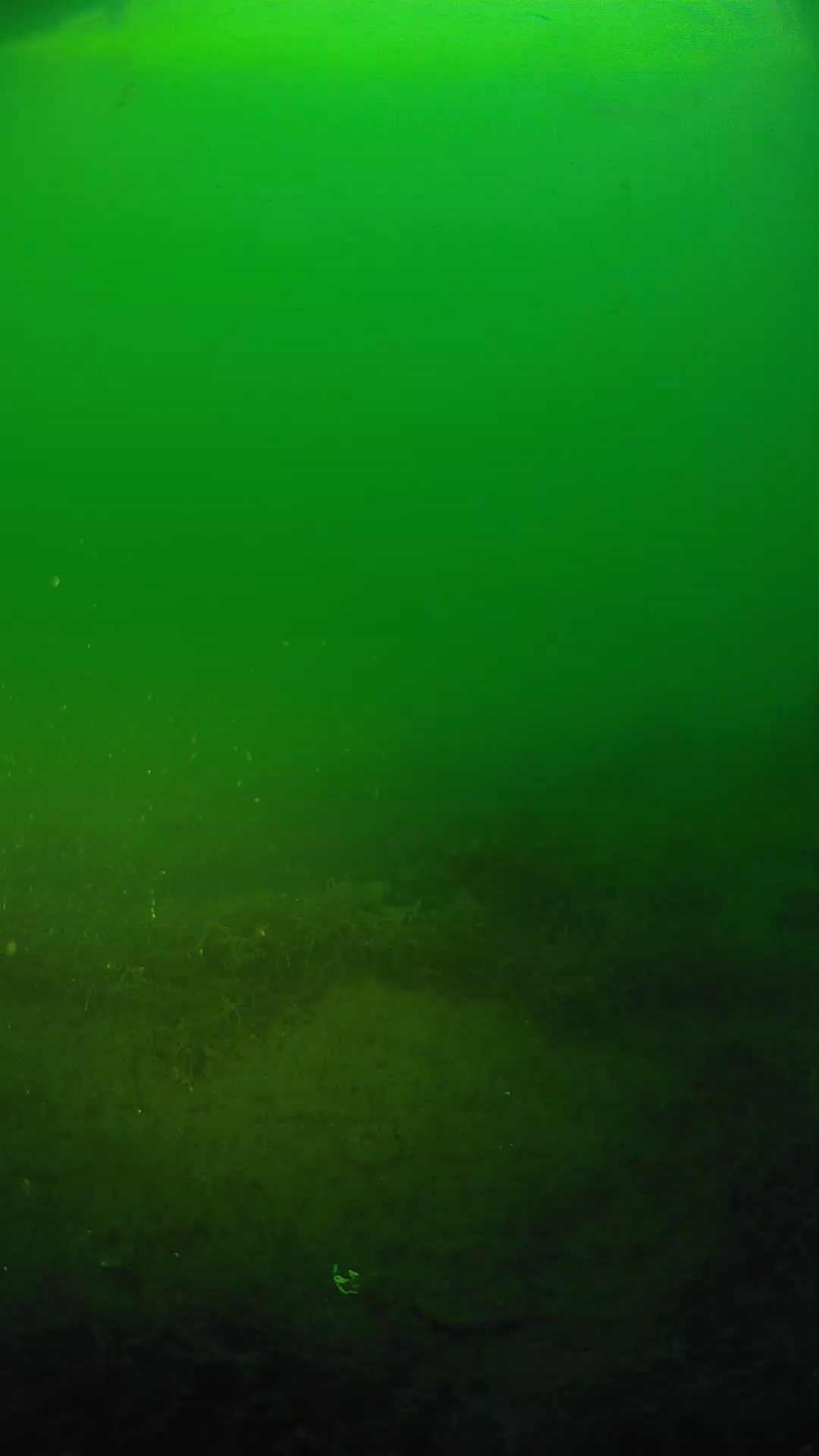 lander_ipcam_20250604194655.png
