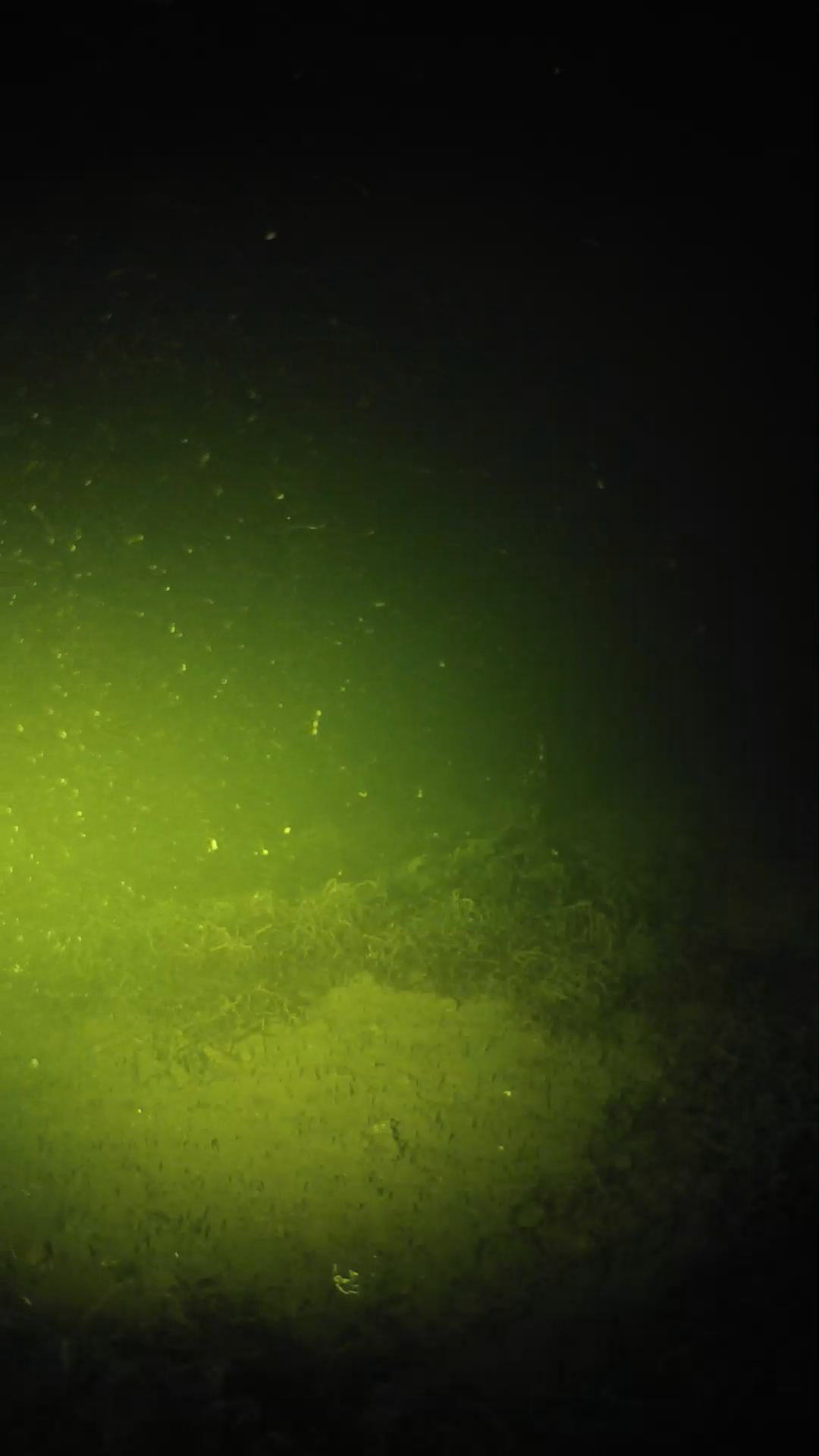 lander_ipcam_20250604210156.png