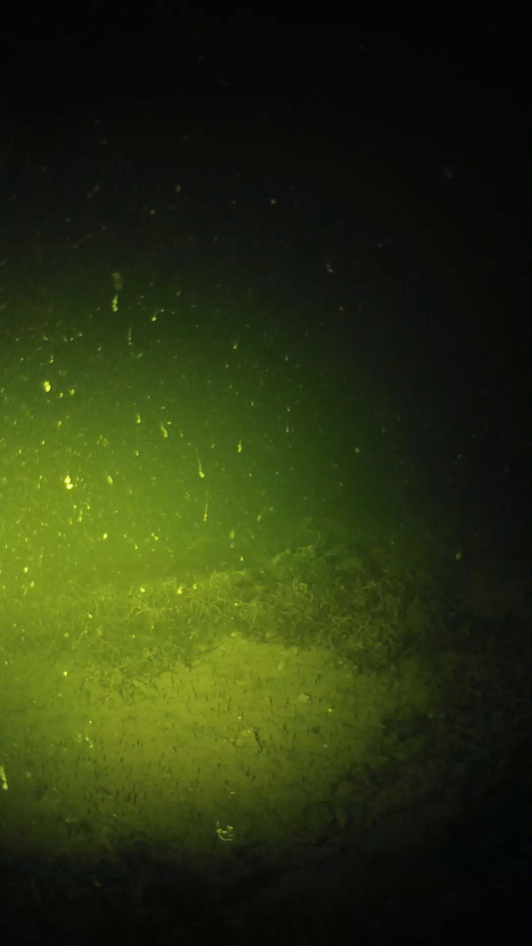 lander_ipcam_20250604214638.png