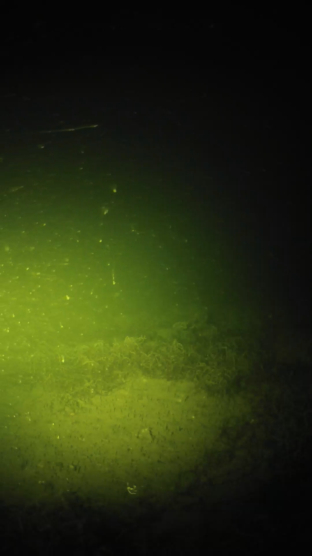 lander_ipcam_20250605000124.png