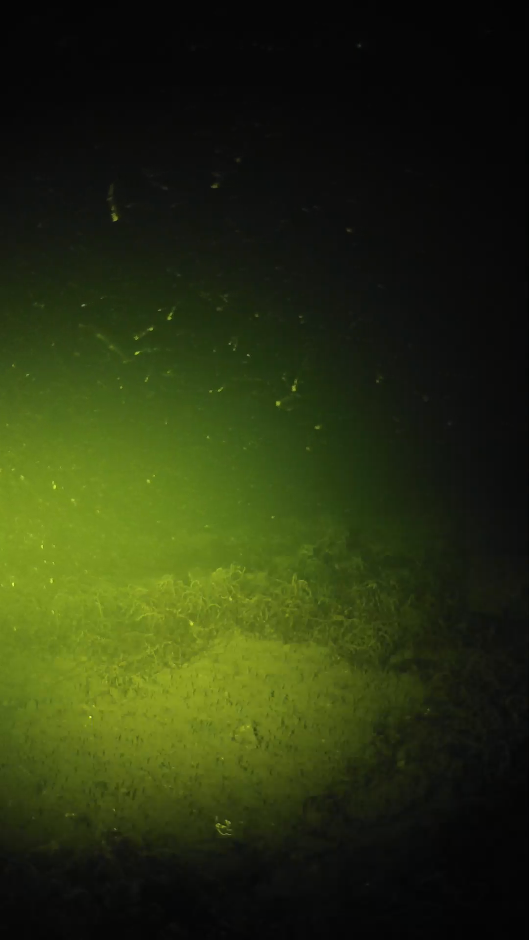 lander_ipcam_20250605011657.png