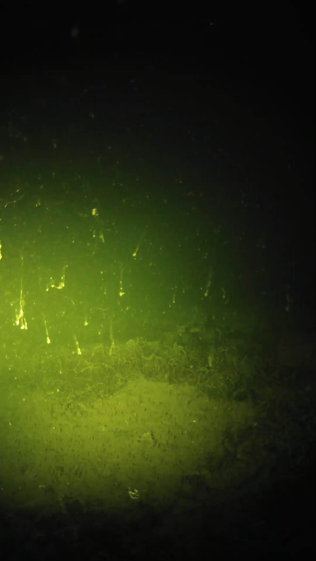lander_ipcam_20250605020129.png