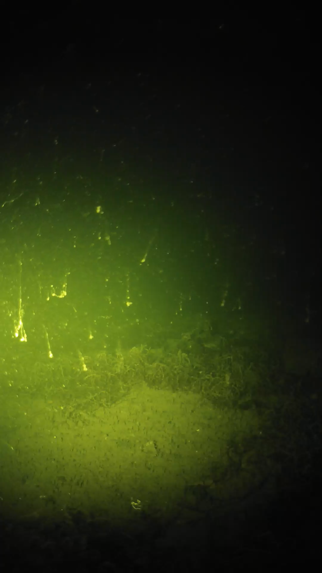 lander_ipcam_20250605020130.png