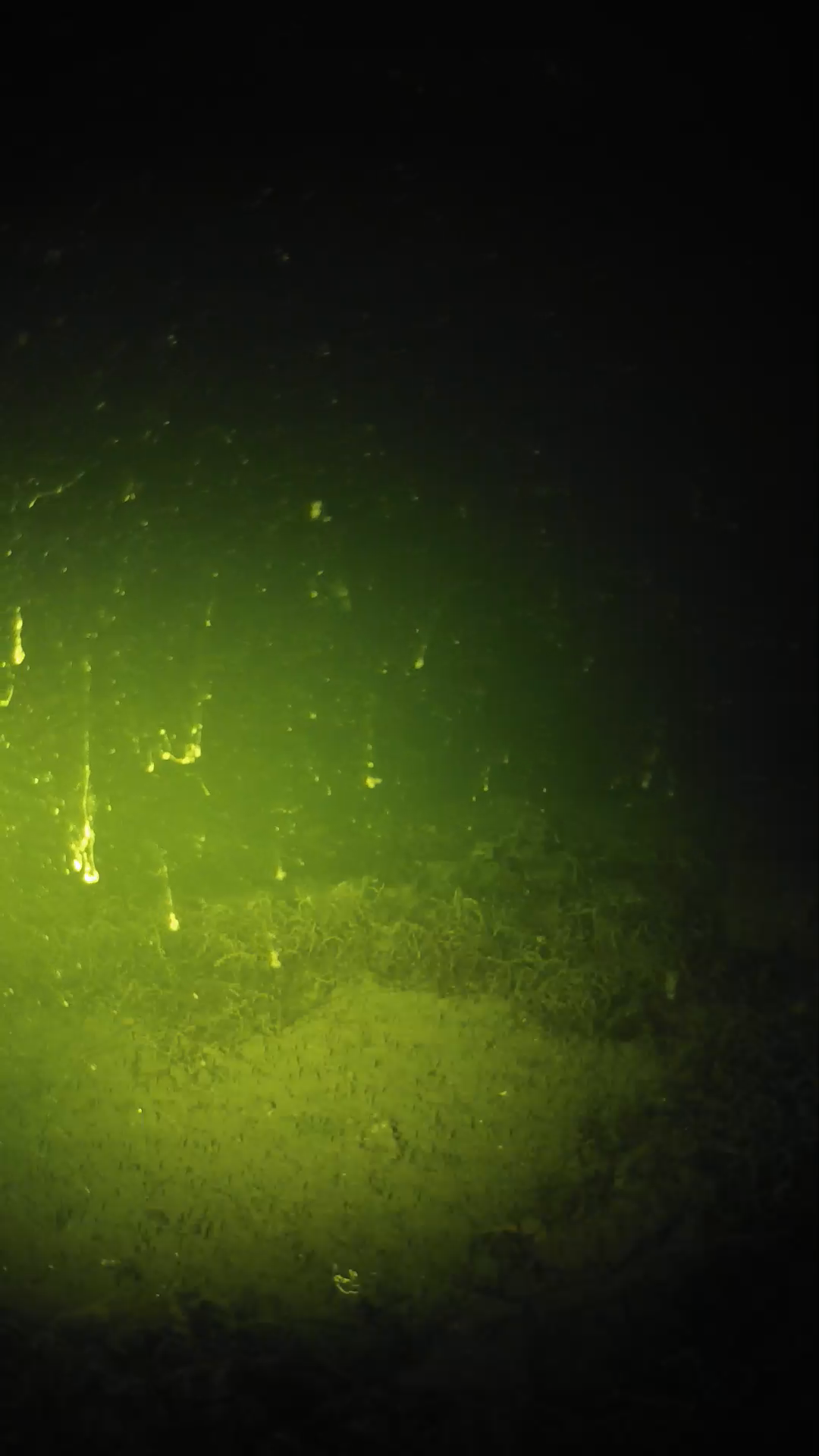 lander_ipcam_20250605020131.png