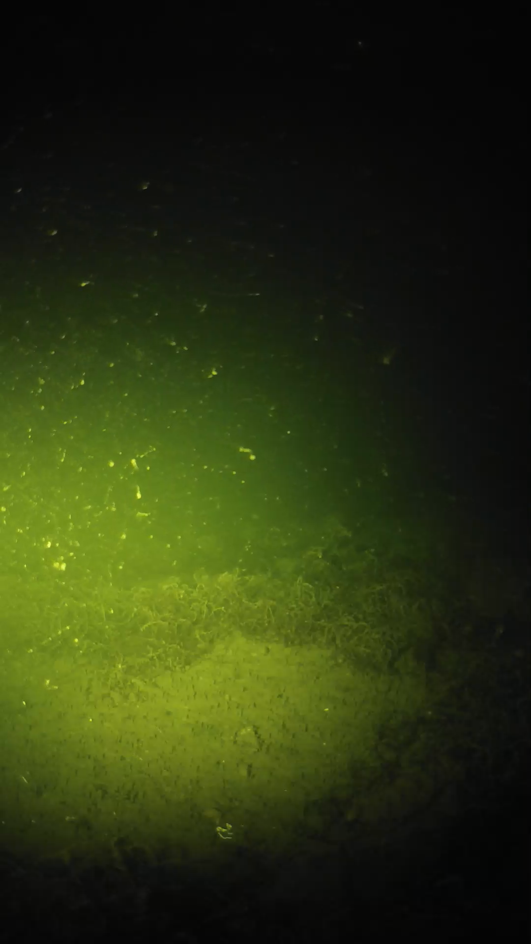 lander_ipcam_20250605021632.png