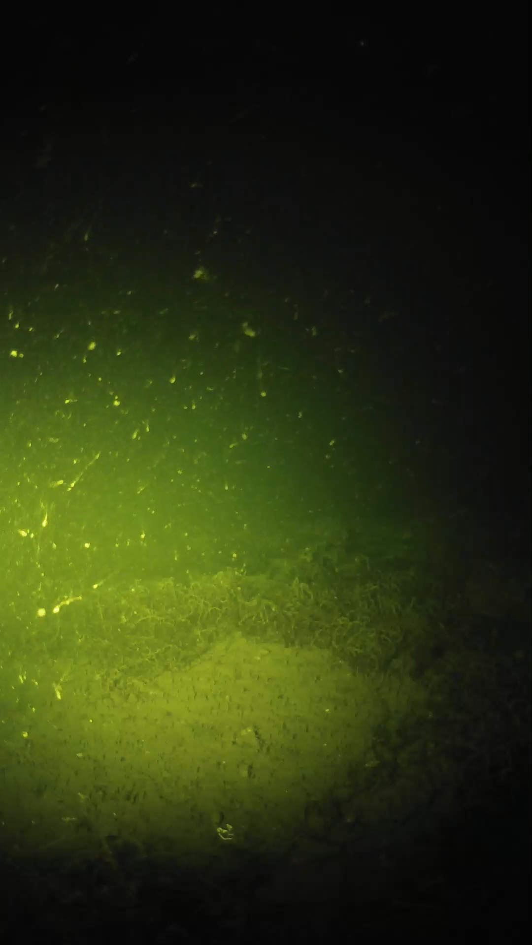 lander_ipcam_20250605021656.png