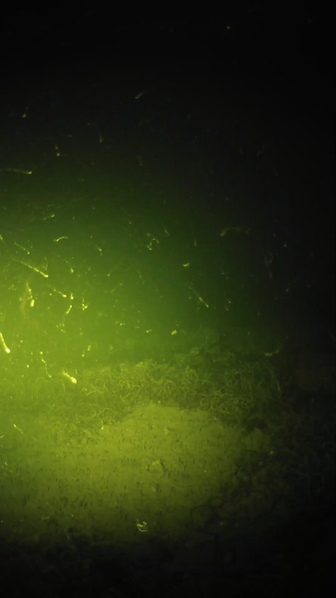 lander_ipcam_20250605030127.png