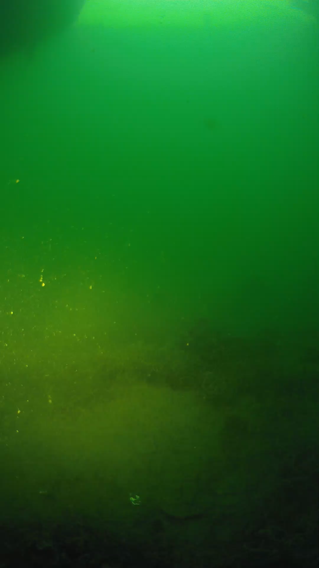 lander_ipcam_20250605053125.png
