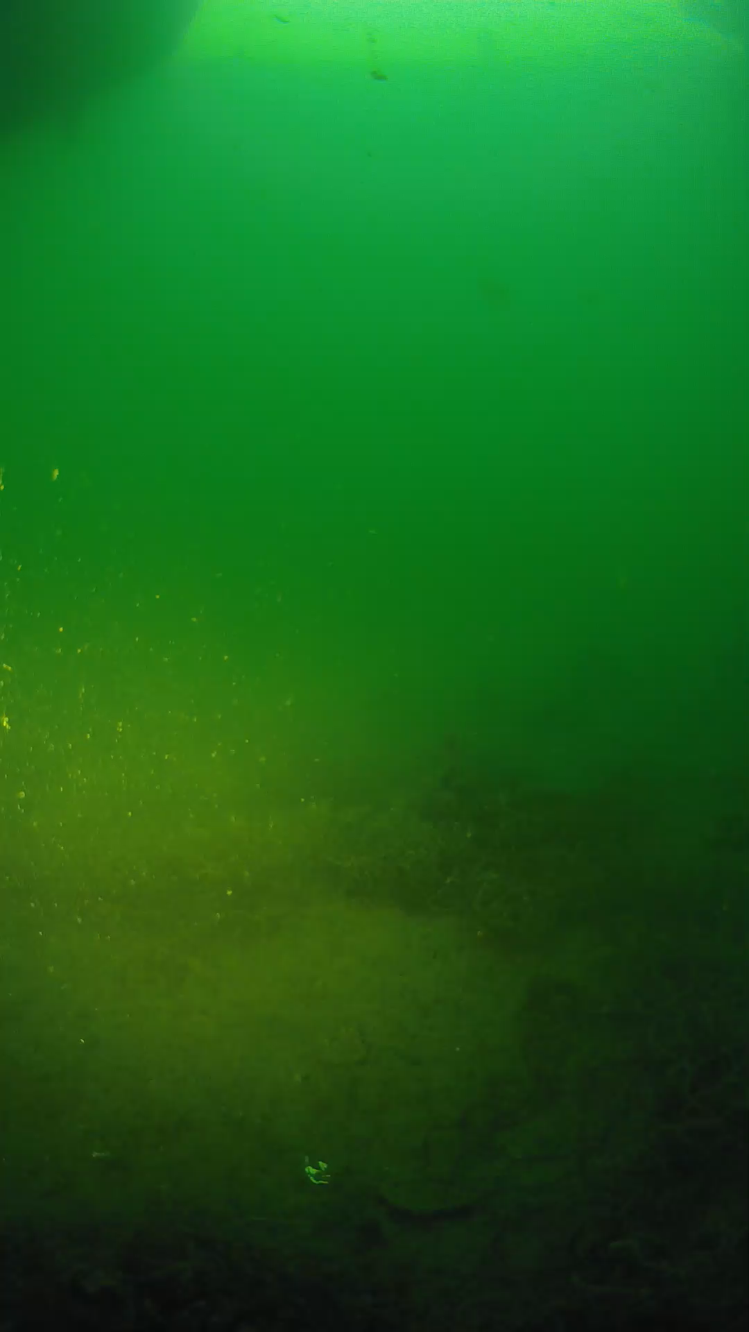 lander_ipcam_20250605053145.png