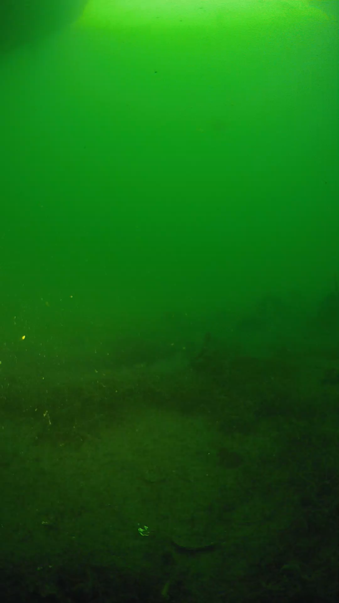 lander_ipcam_20250605061649.png