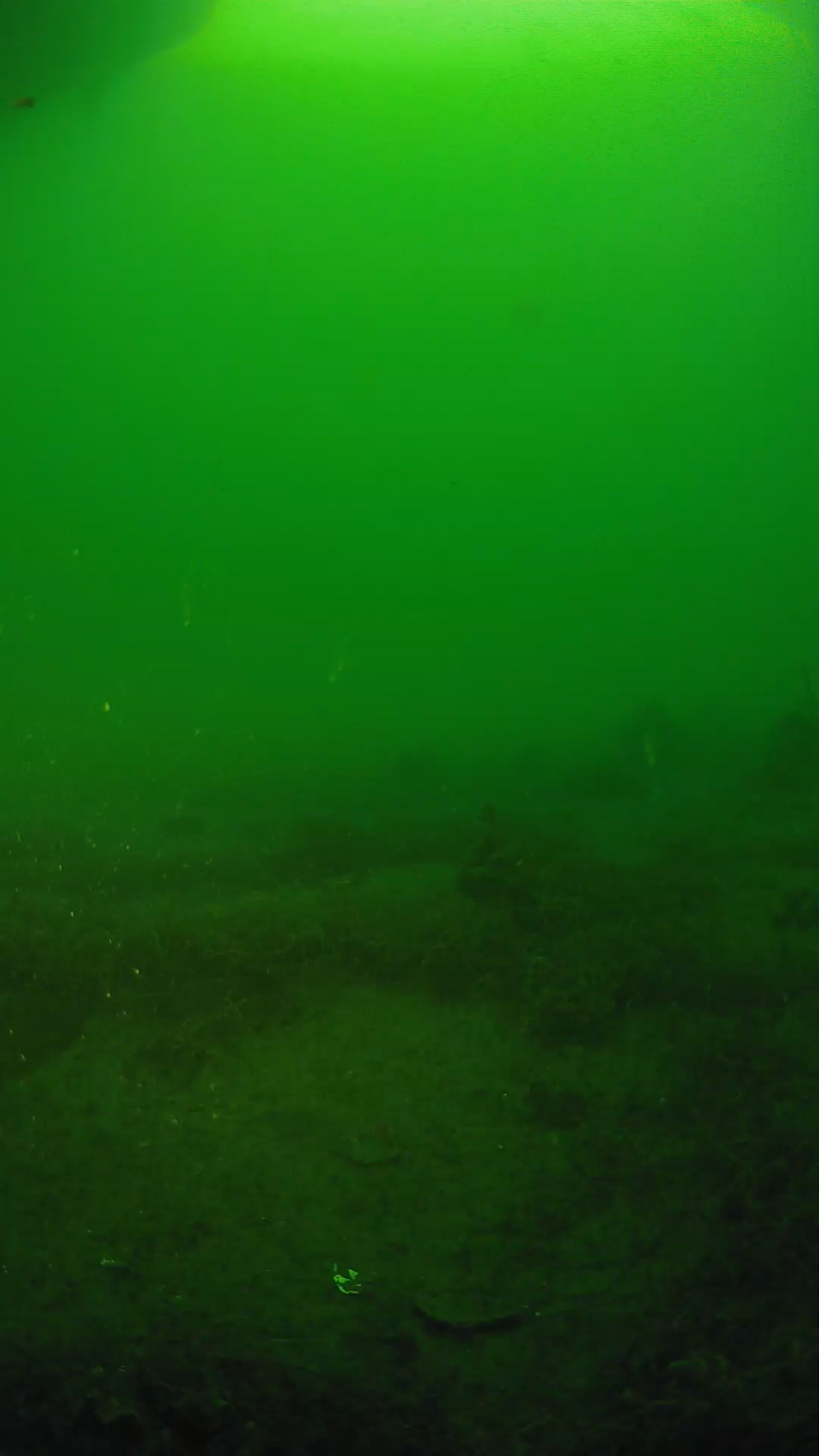 lander_ipcam_20250605063107.png
