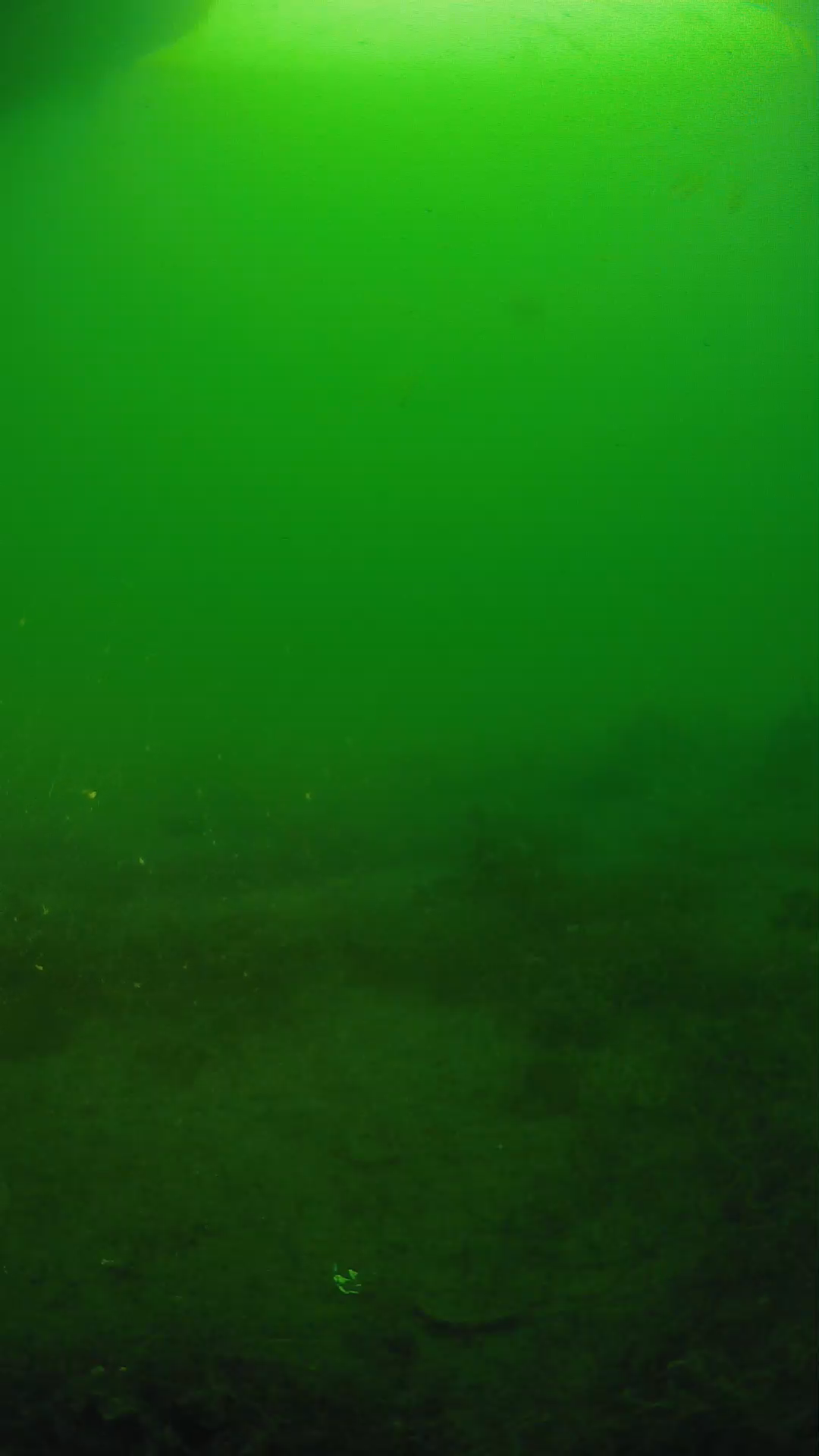 lander_ipcam_20250605064617.png