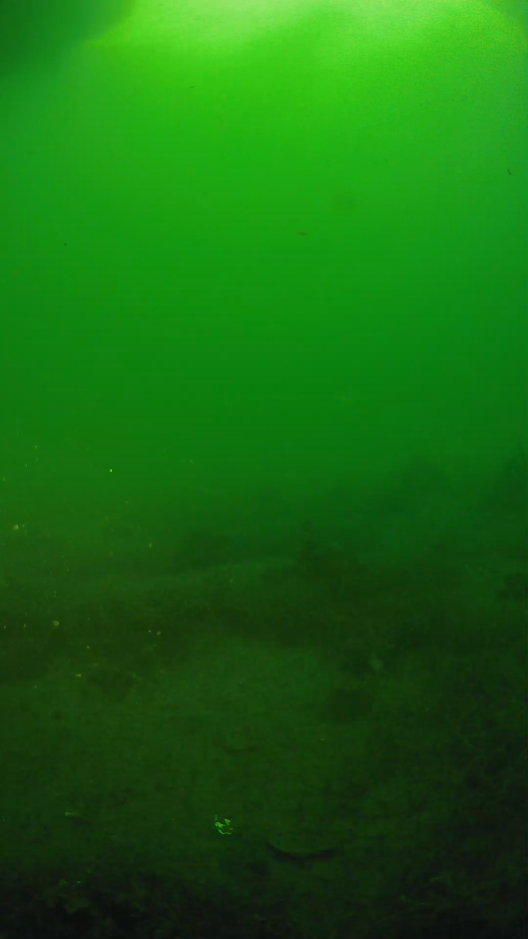 lander_ipcam_20250605064643.png