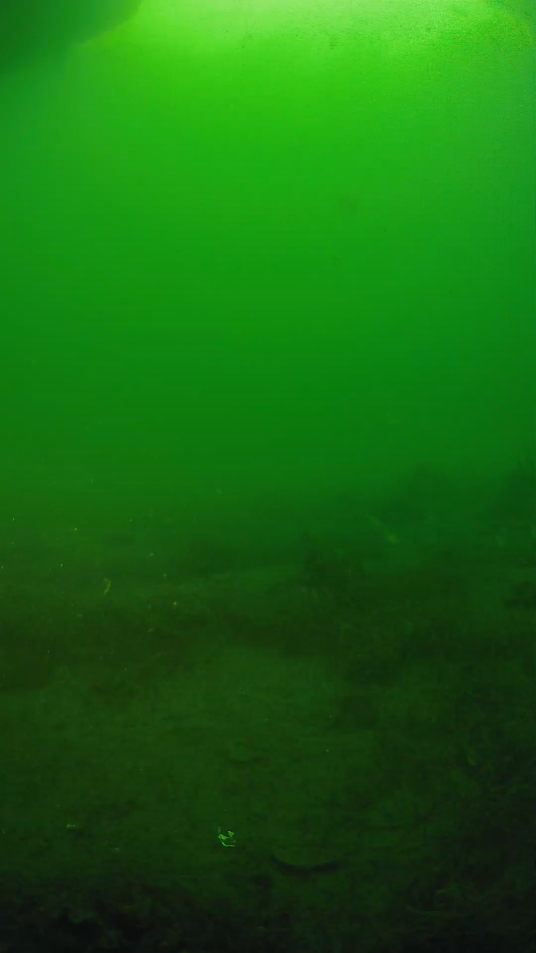 lander_ipcam_20250605064651.png