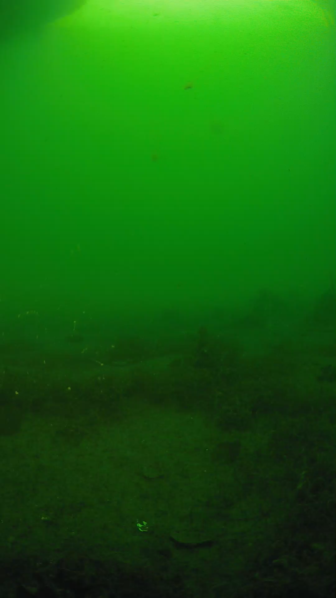 lander_ipcam_20250605070104.png
