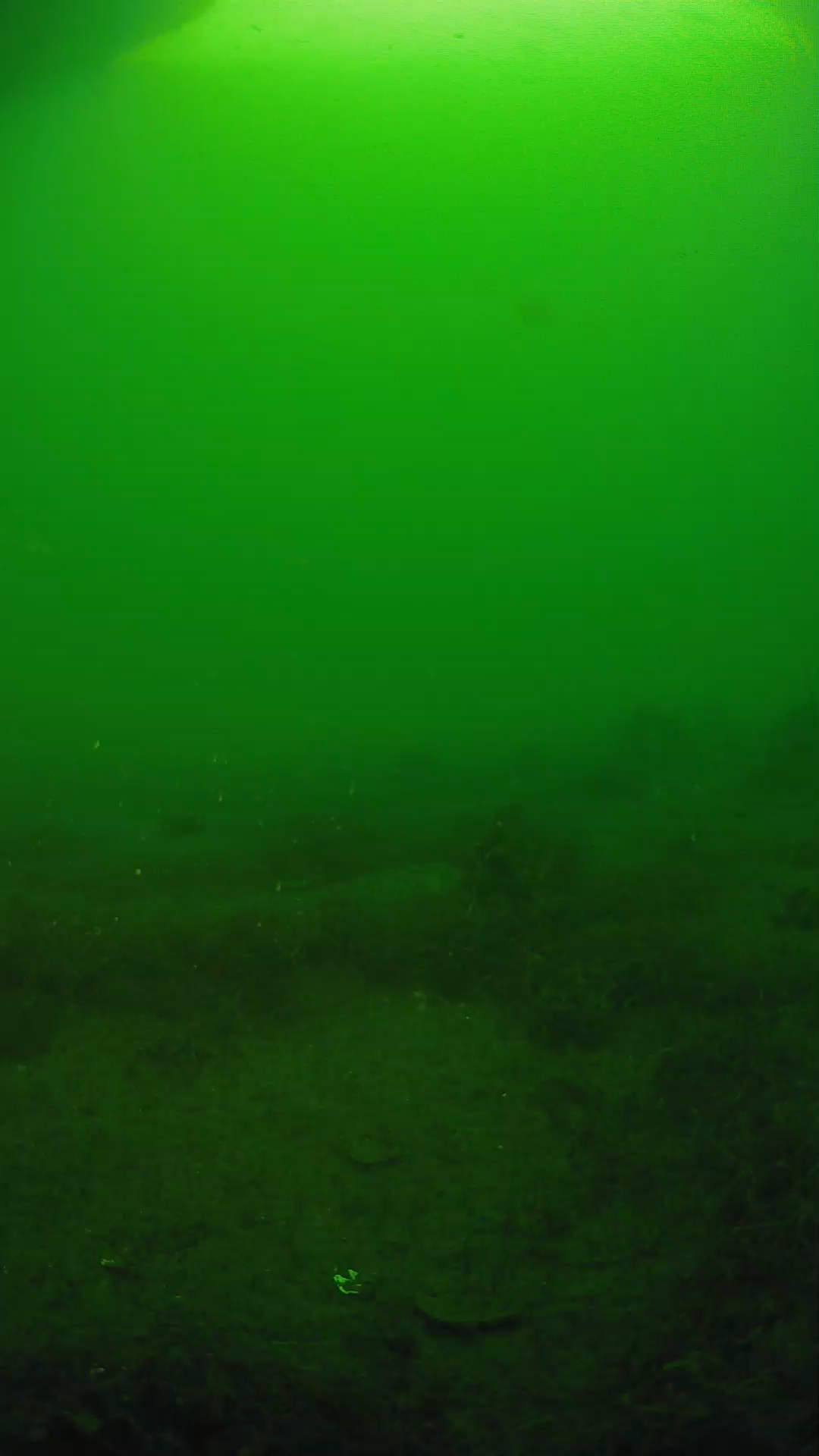 lander_ipcam_20250605070143.png