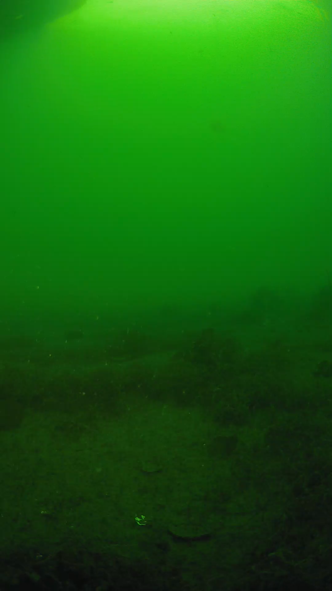 lander_ipcam_20250605070151.png