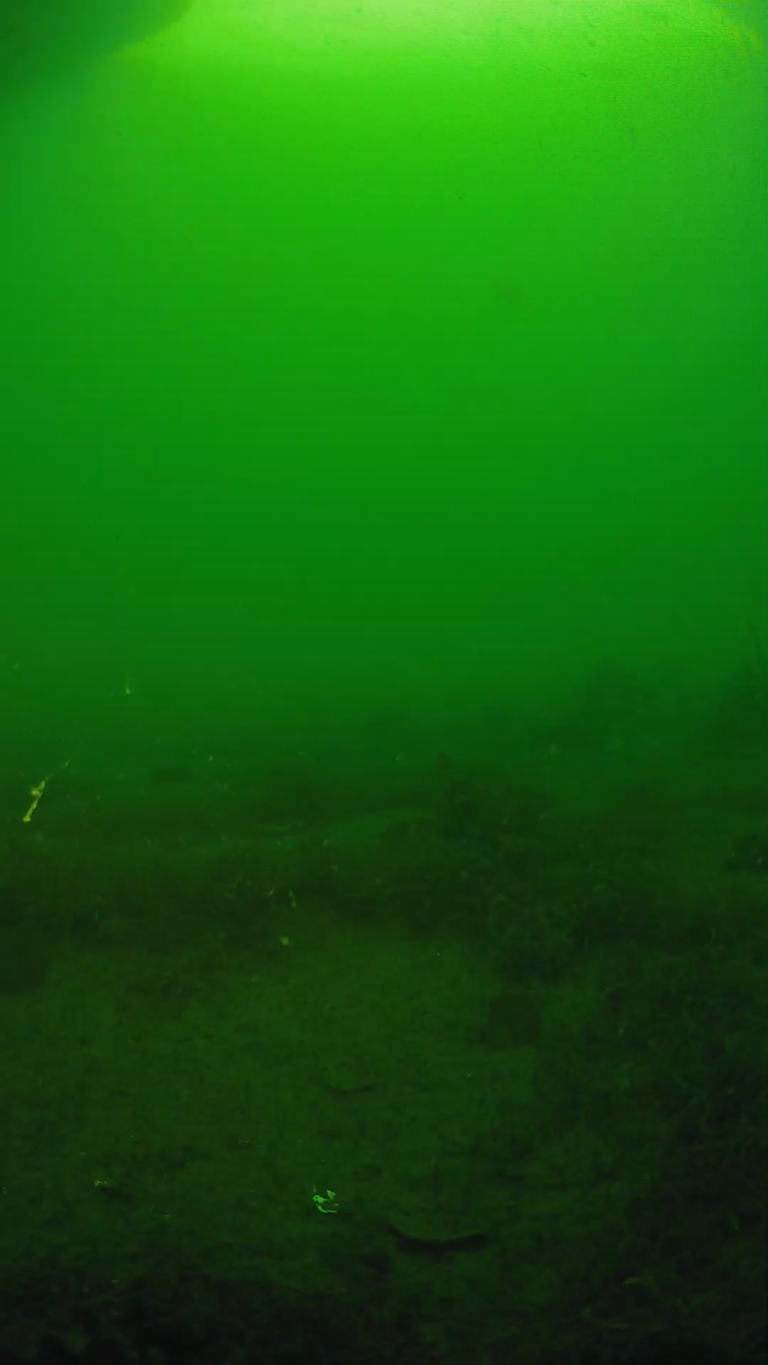 lander_ipcam_20250605070159.png