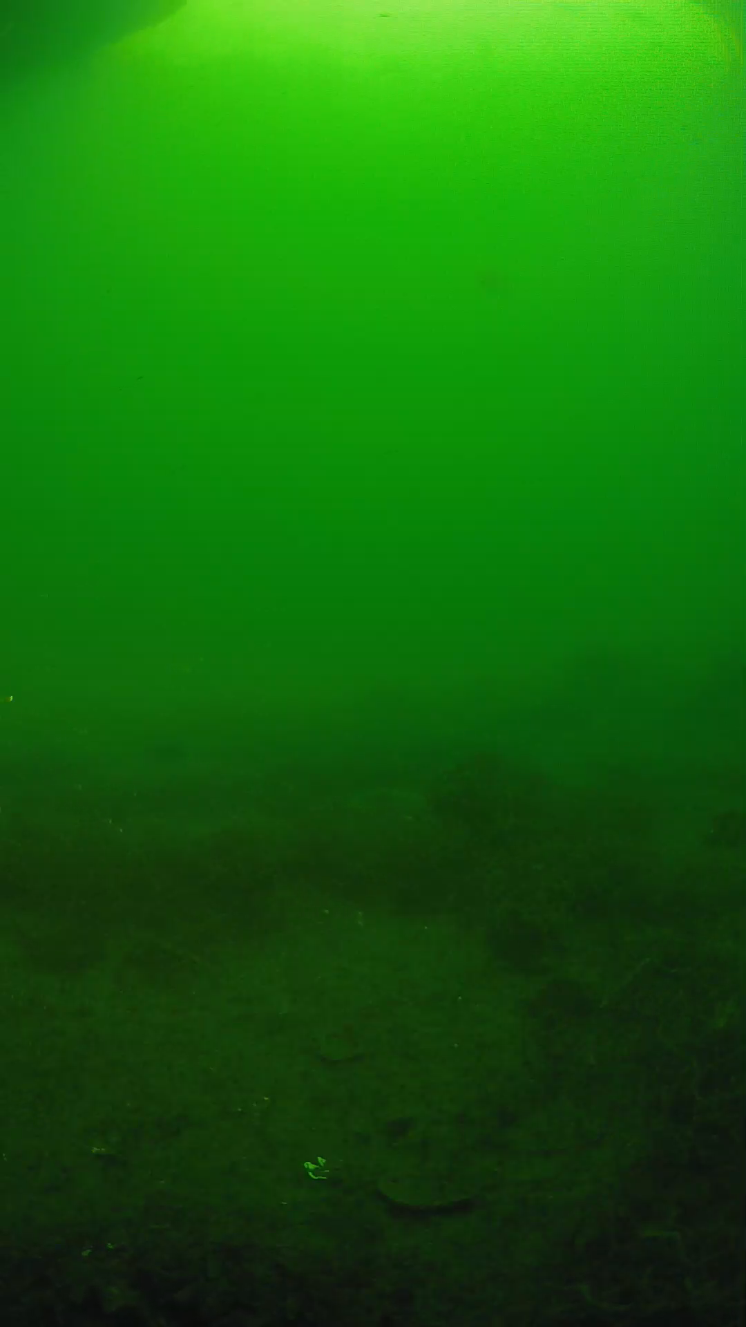 lander_ipcam_20250605071628.png