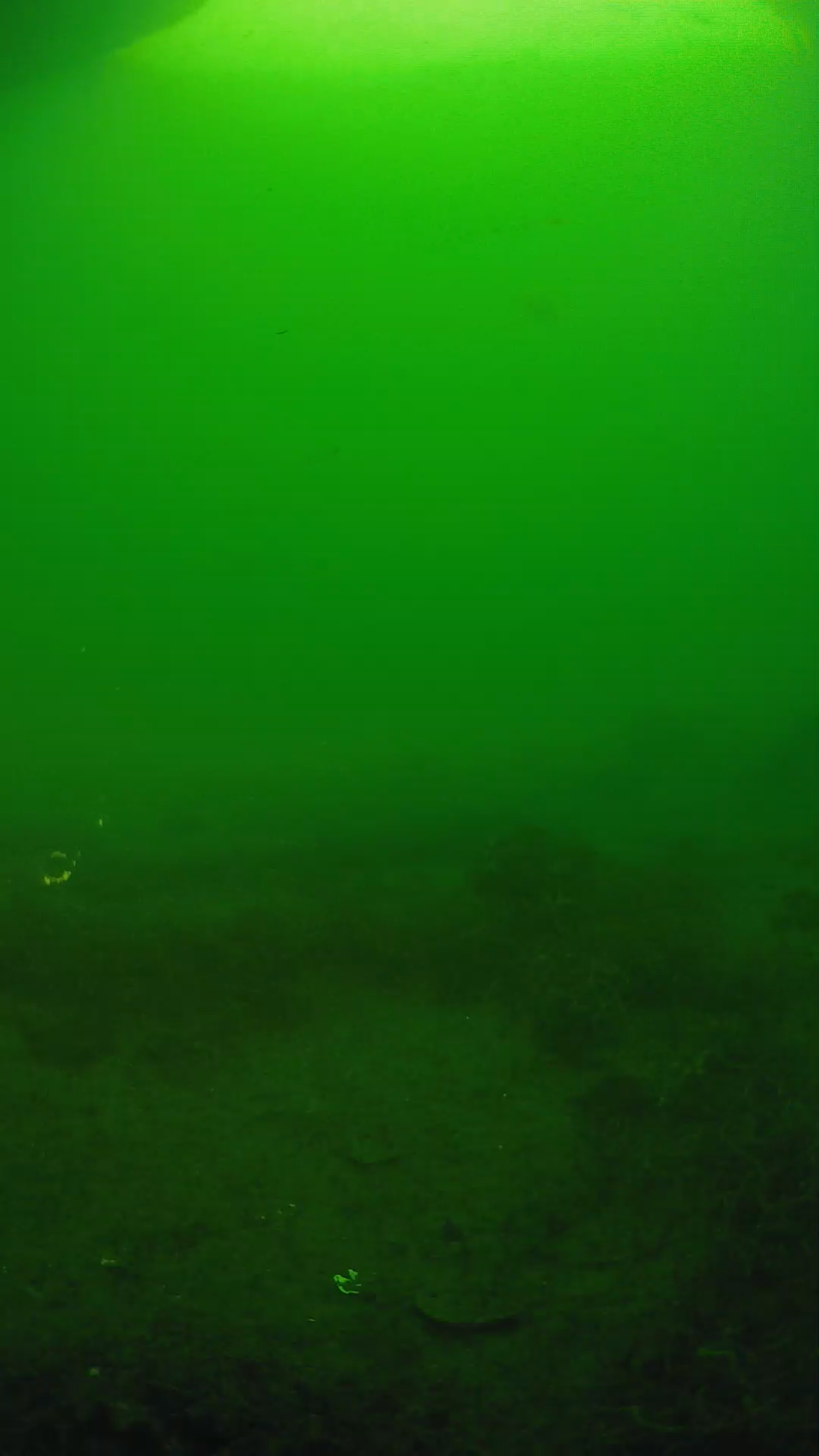 lander_ipcam_20250605071631.png