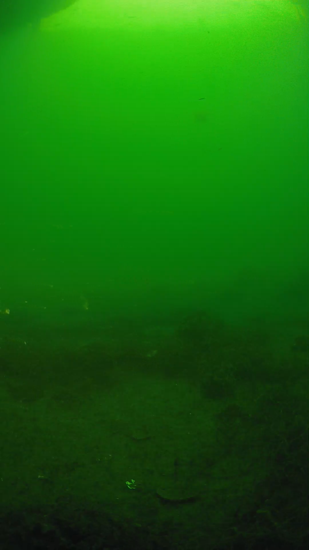 lander_ipcam_20250605071634.png