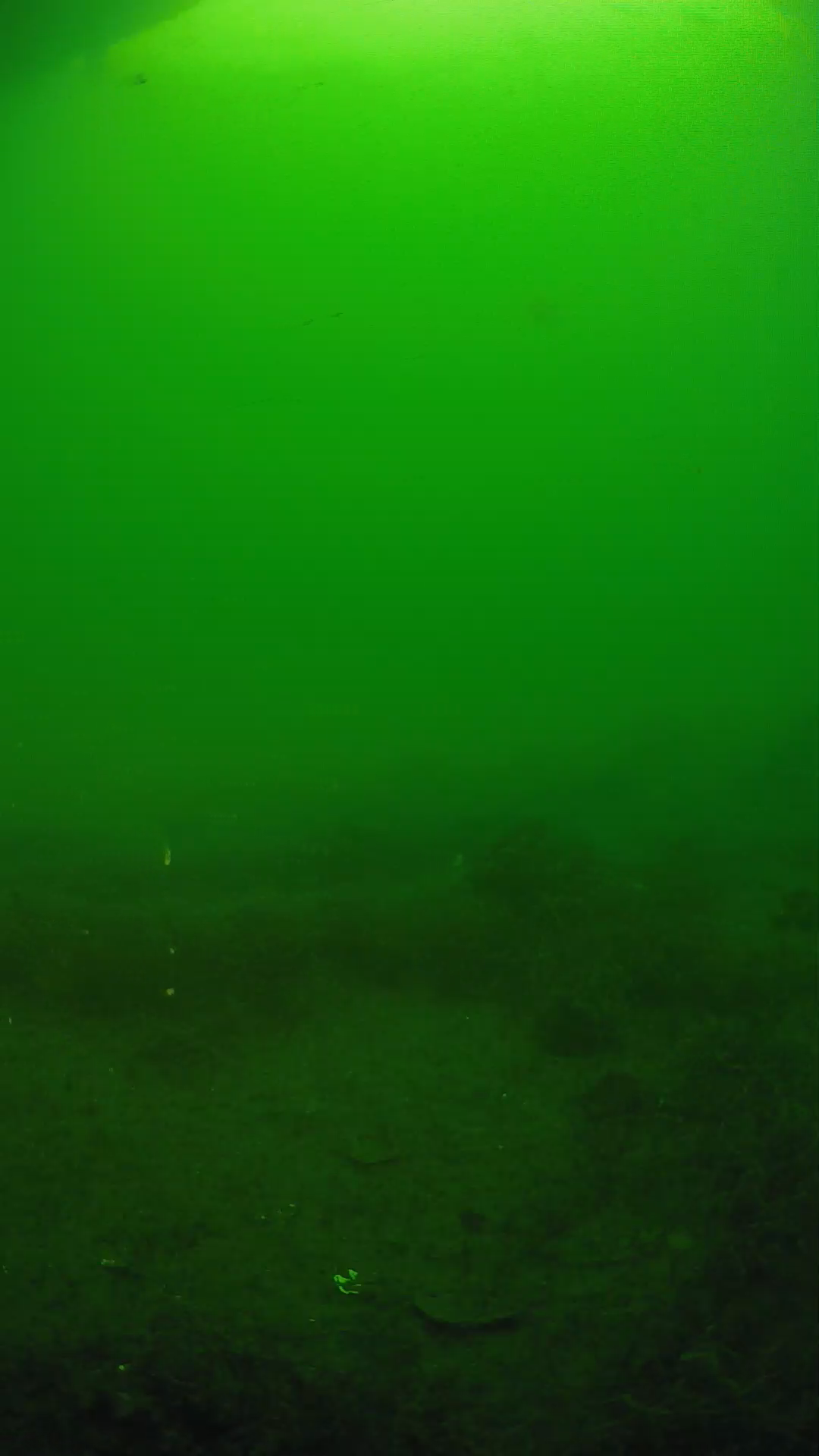 lander_ipcam_20250605071652.png