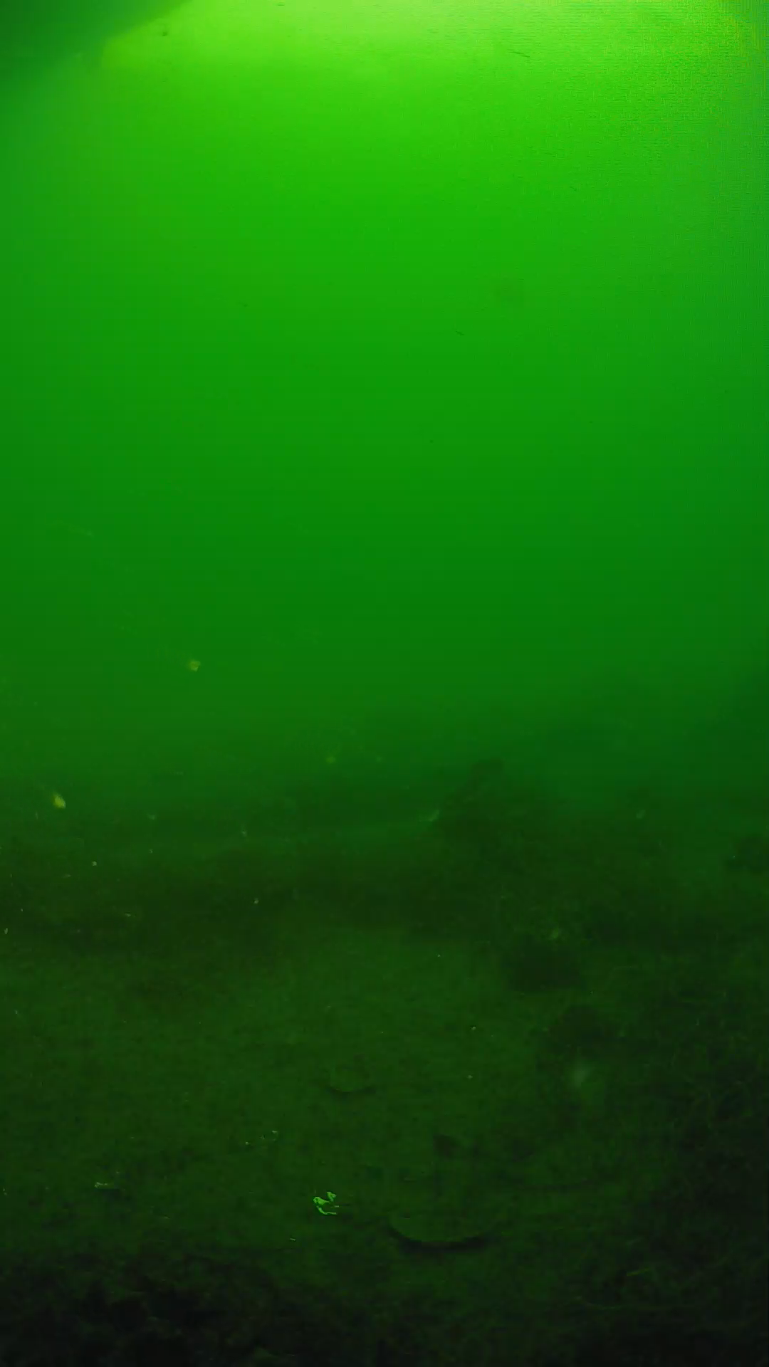 lander_ipcam_20250605071657.png