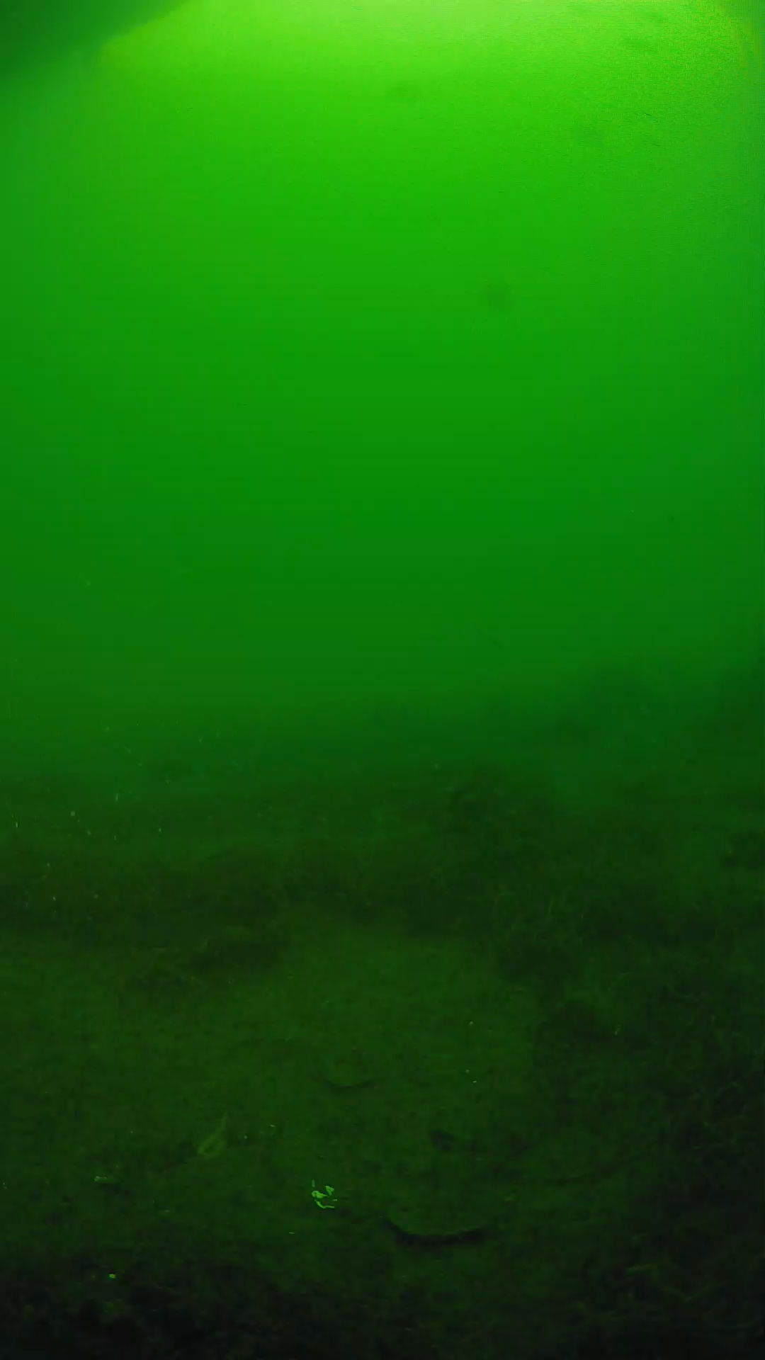 lander_ipcam_20250605073110.png
