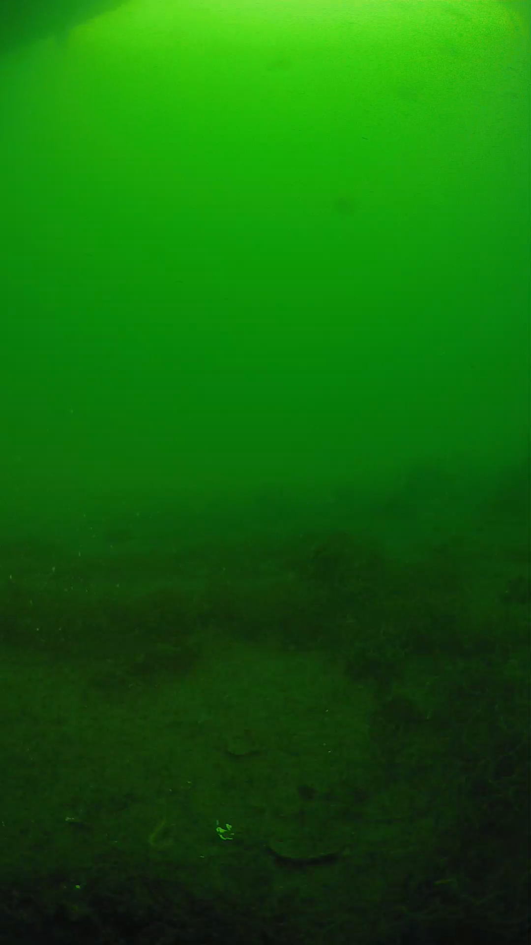 lander_ipcam_20250605073111.png