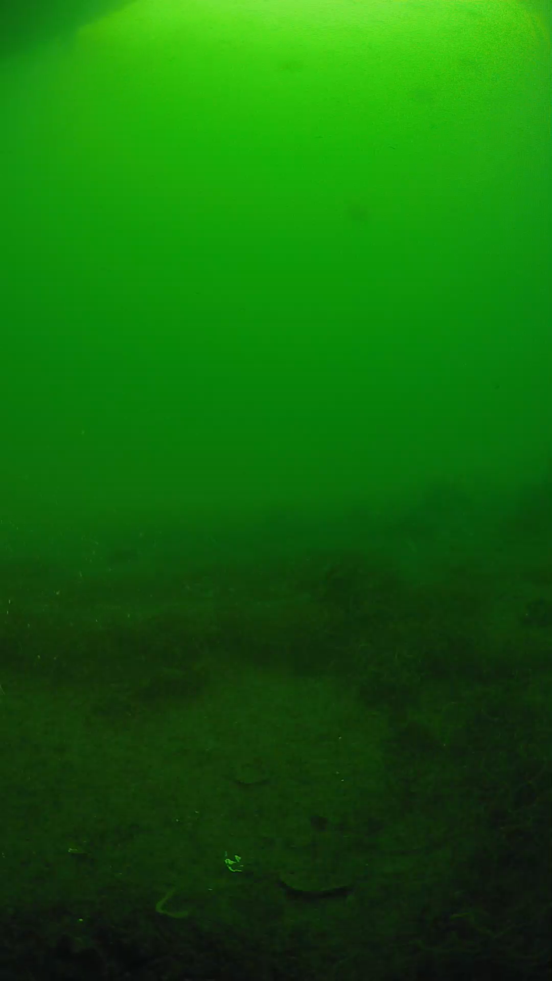lander_ipcam_20250605073112.png