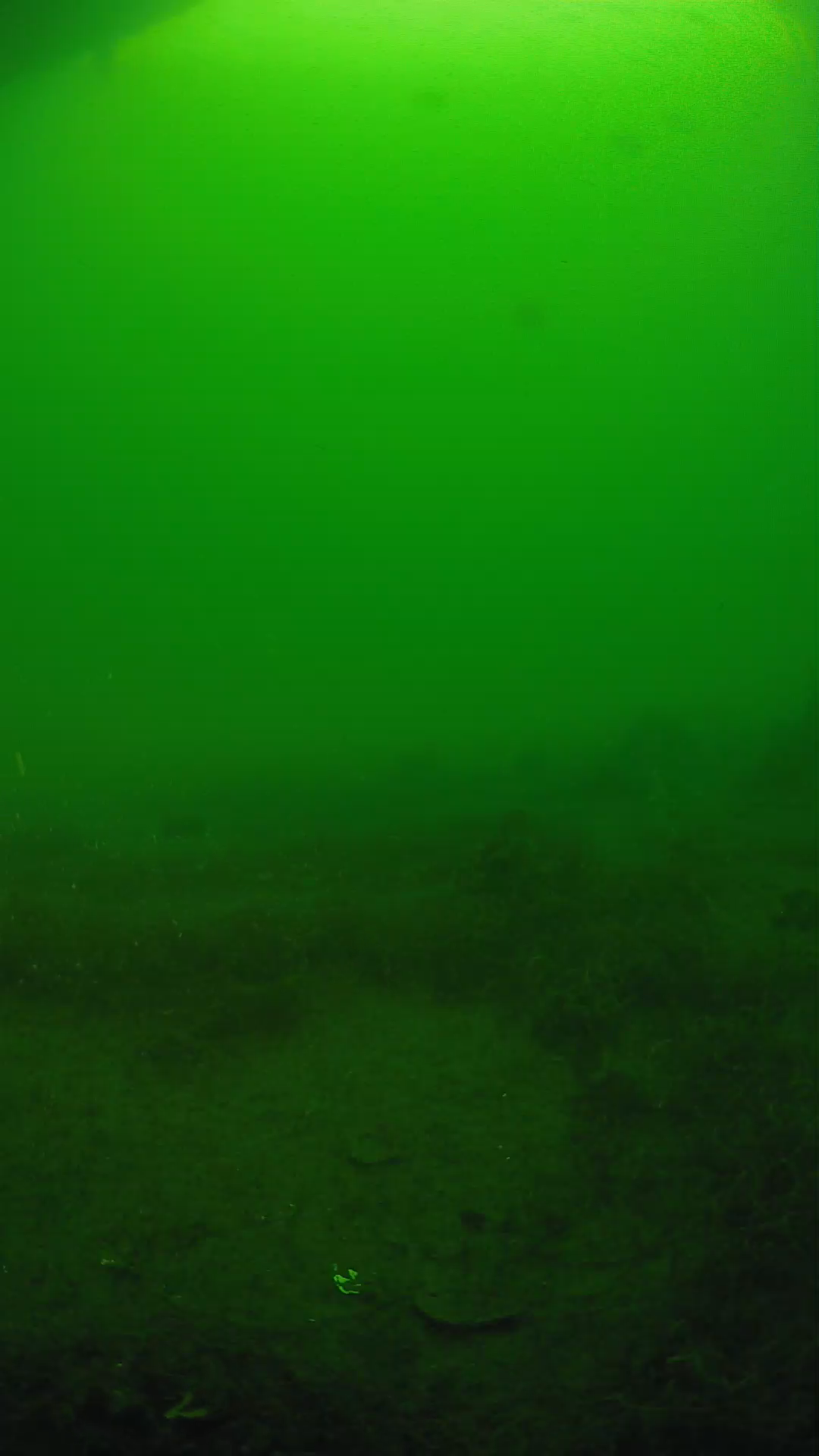 lander_ipcam_20250605073115.png