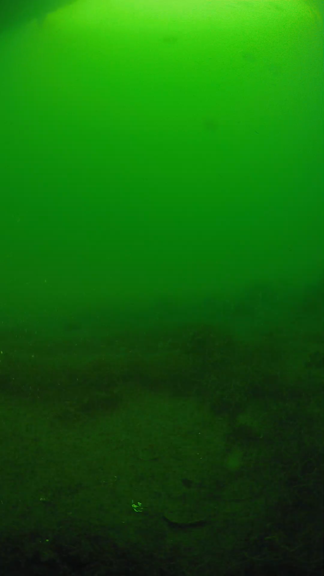 lander_ipcam_20250605073118.png