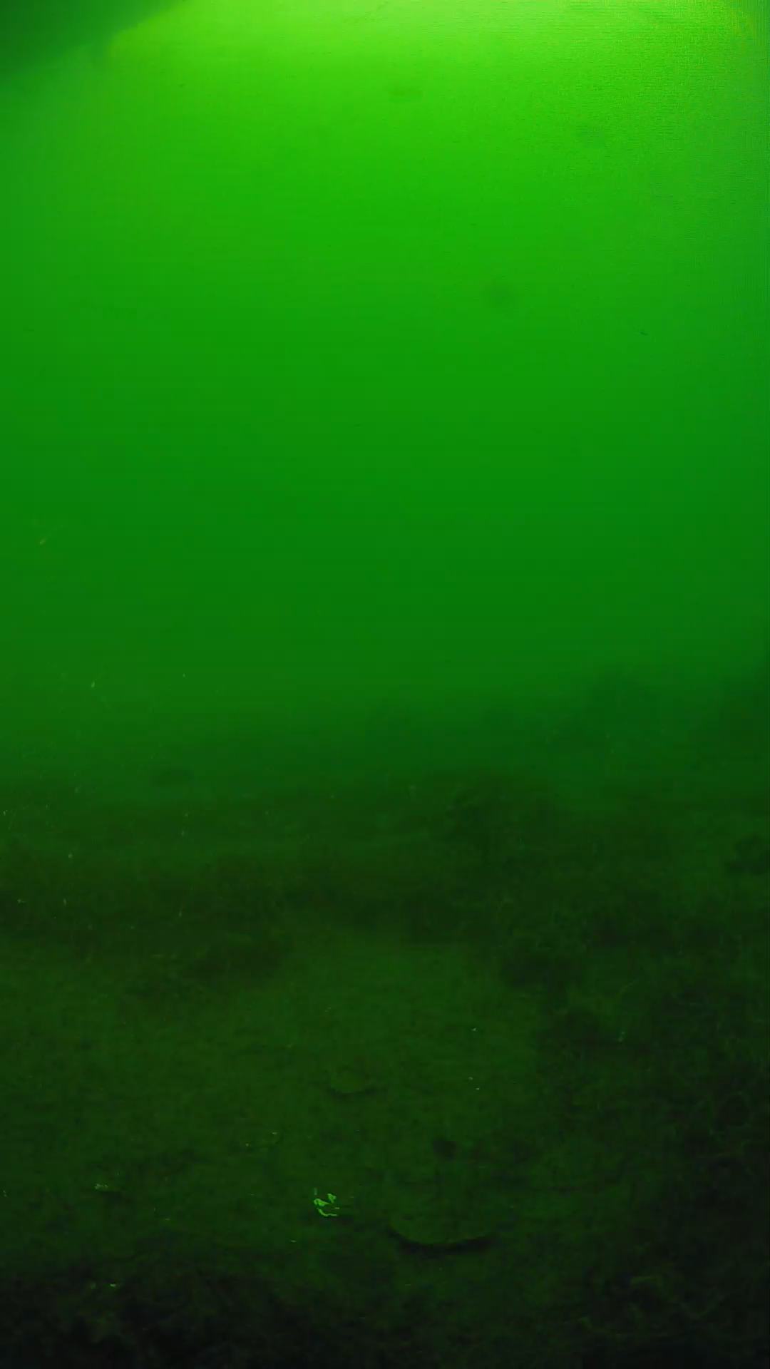 lander_ipcam_20250605073119.png