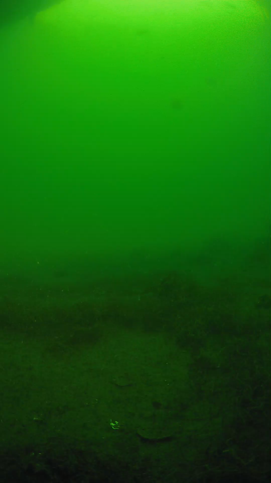 lander_ipcam_20250605073127.png