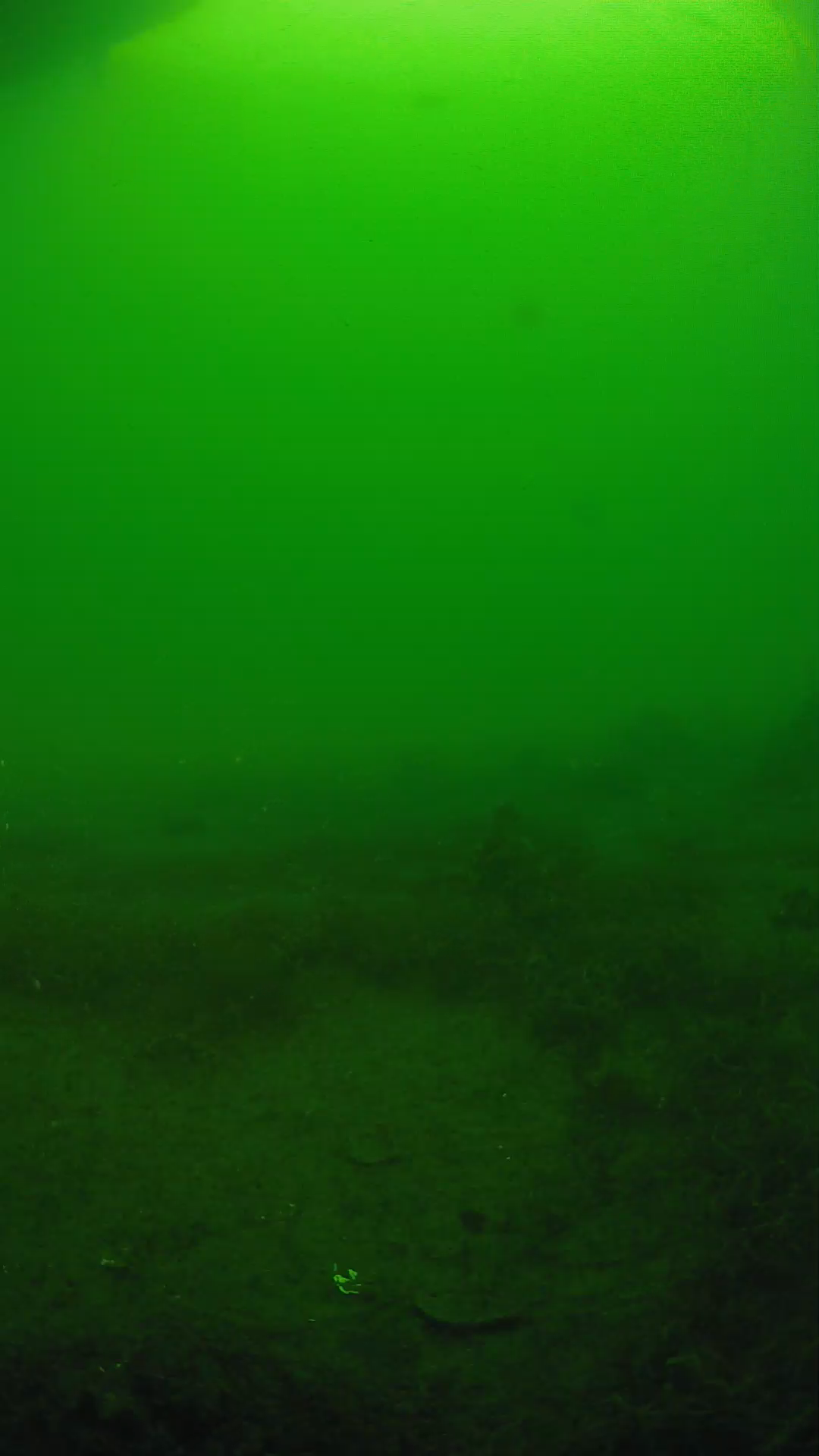lander_ipcam_20250605073138.png