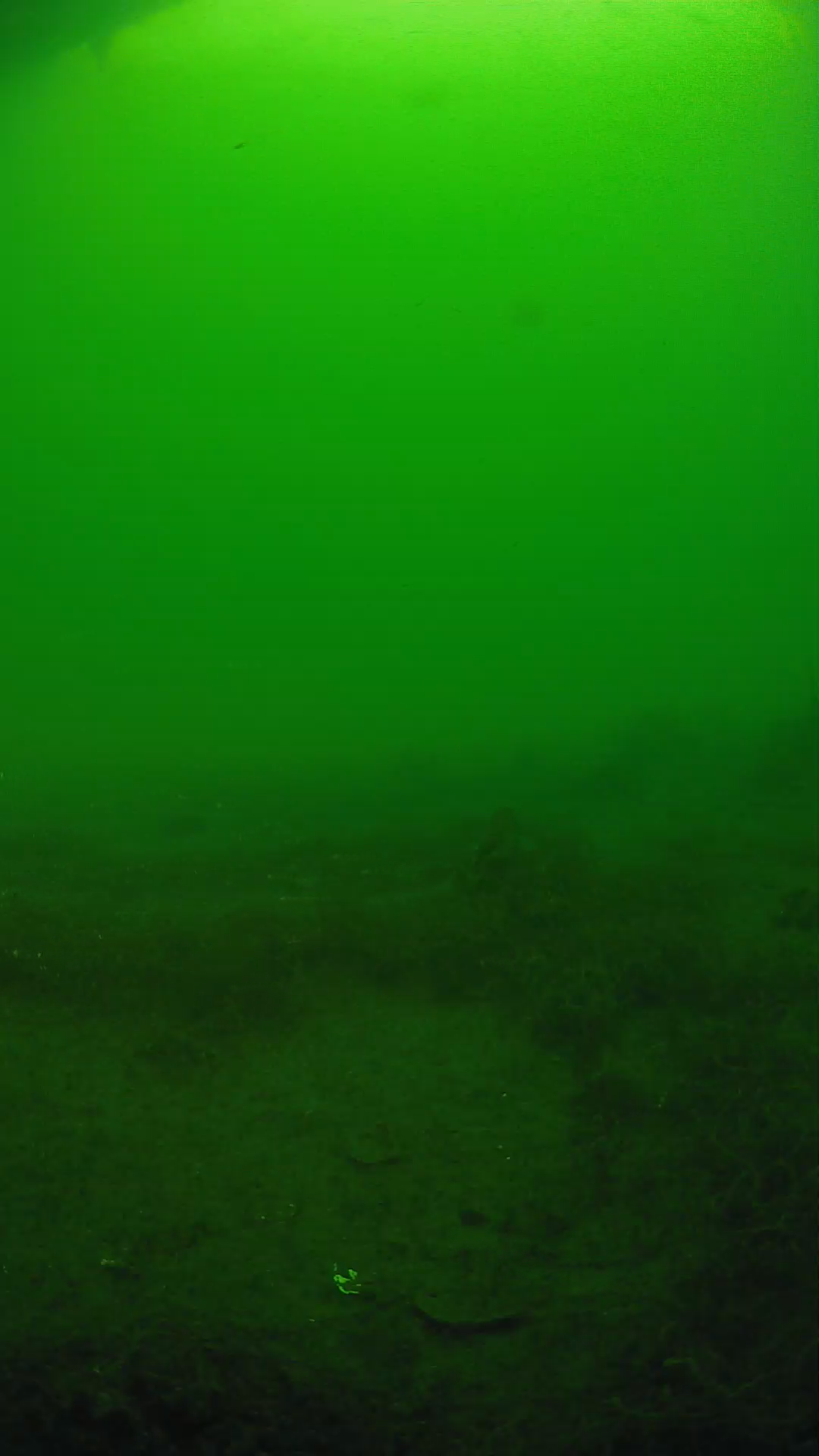 lander_ipcam_20250605073154.png