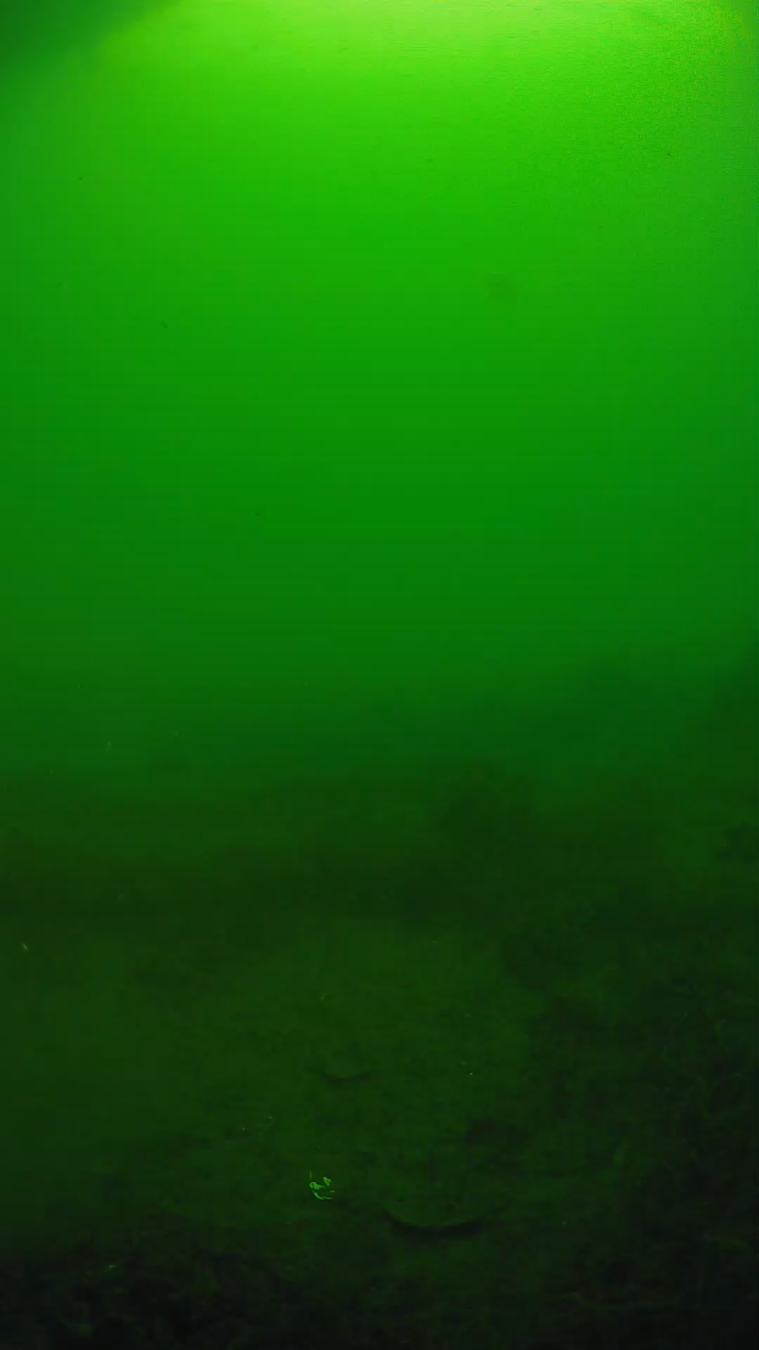 lander_ipcam_20250605074602.png