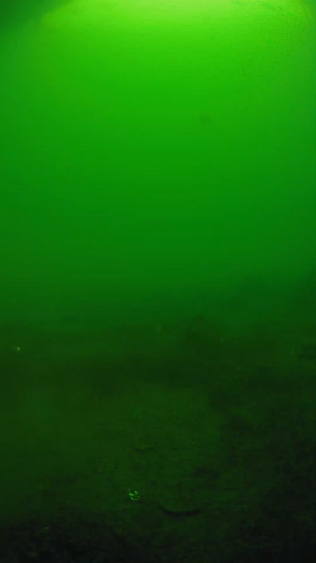 lander_ipcam_20250605074605.png