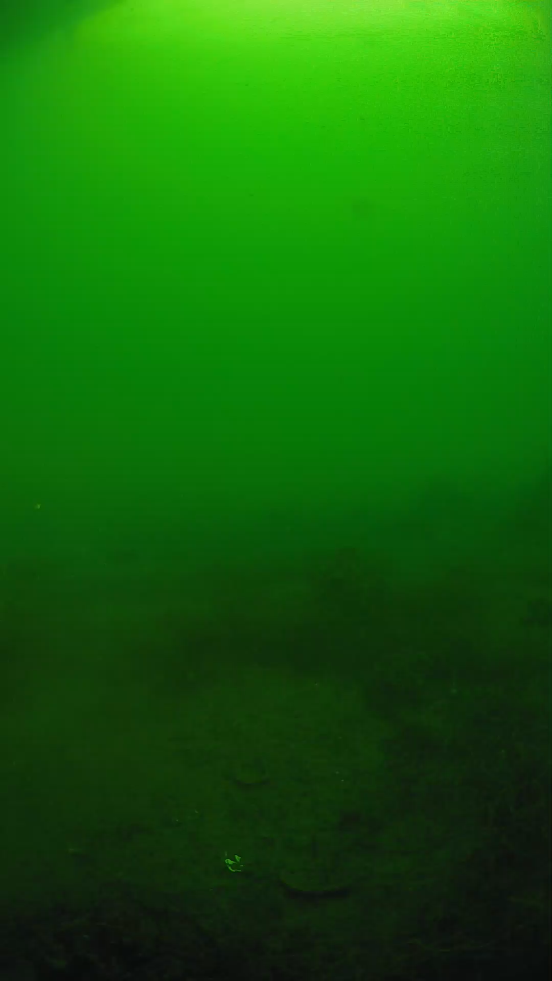 lander_ipcam_20250605074610.png