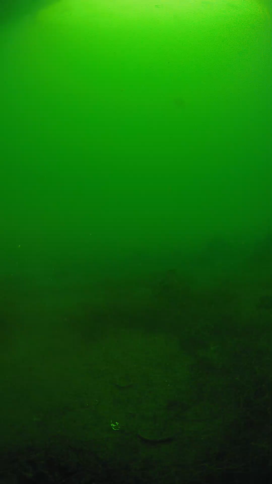 lander_ipcam_20250605074611.png