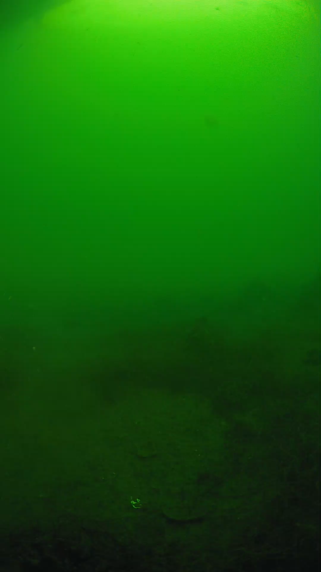 lander_ipcam_20250605074613.png