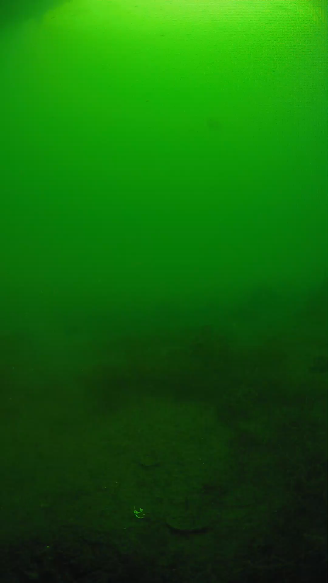 lander_ipcam_20250605074616.png