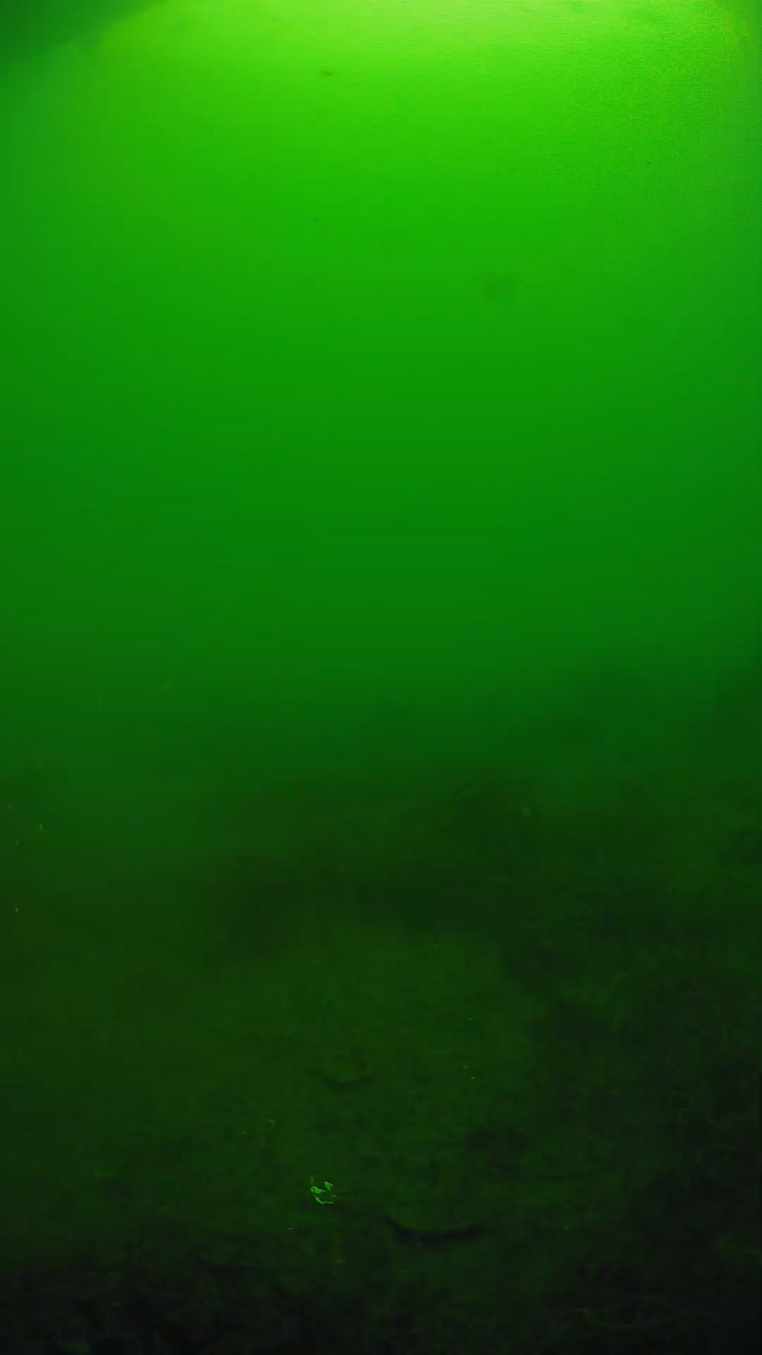 lander_ipcam_20250605074618.png