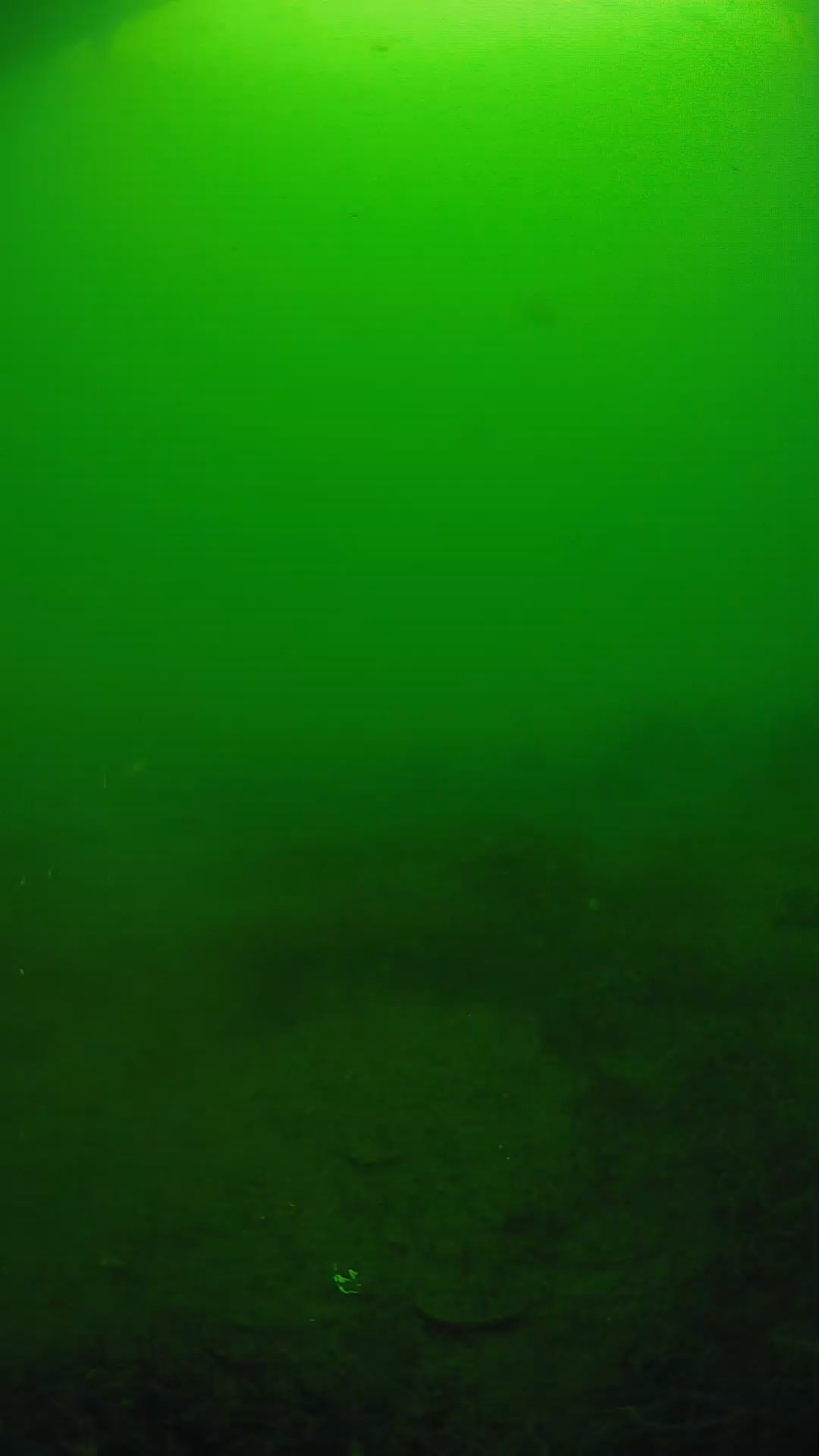 lander_ipcam_20250605074619.png