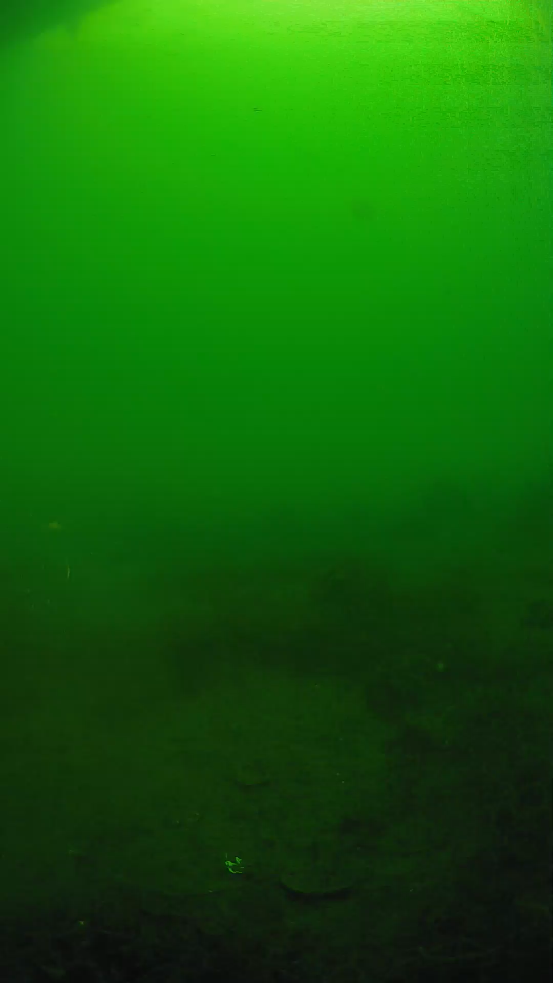 lander_ipcam_20250605074622.png