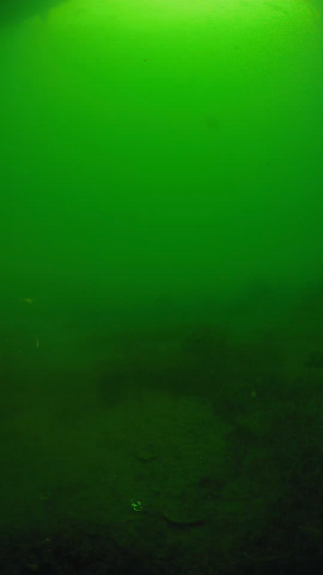 lander_ipcam_20250605074623.png