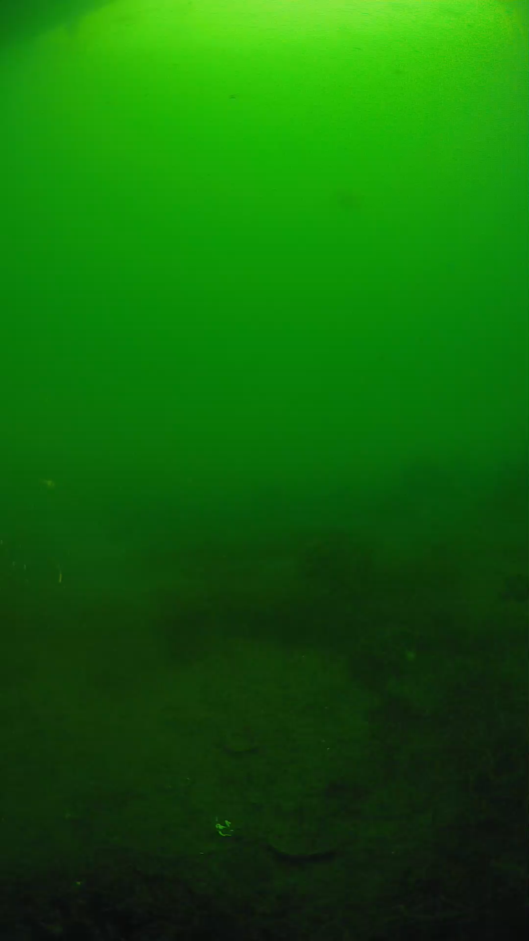lander_ipcam_20250605074624.png