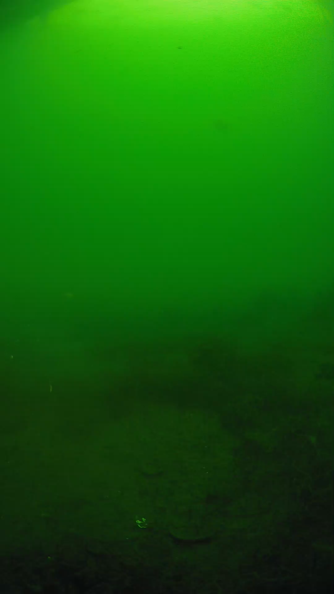 lander_ipcam_20250605074626.png