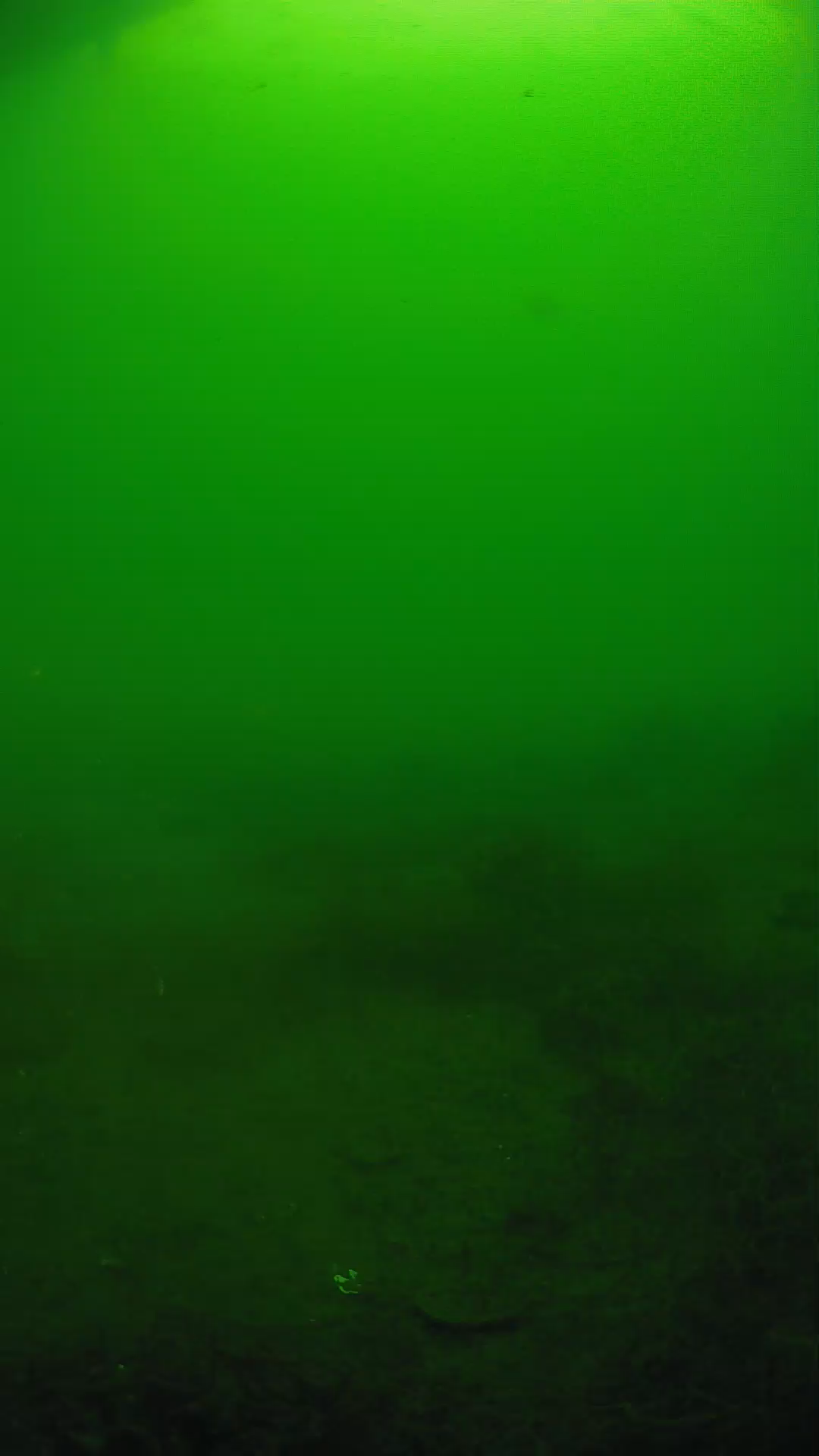lander_ipcam_20250605074627.png