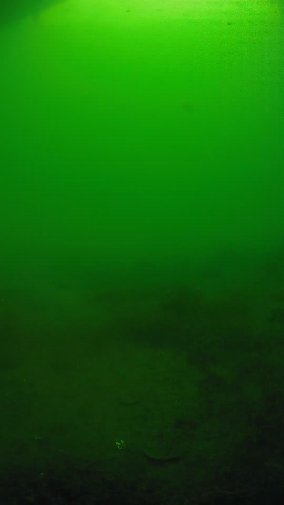 lander_ipcam_20250605074629.png